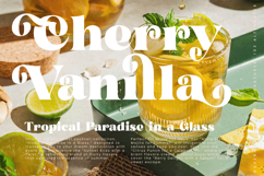 Garden Rosila - Modern Retro Serif Font Product Image 6