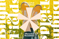 Garden Rosila - Modern Retro Serif Font Product Image 12