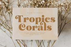 Garden Rosila - Modern Retro Serif Font Product Image 13