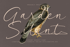 Garden Silent - Elegant Script Font Product Image 1
