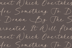 Garden Silent - Elegant Script Font Product Image 9