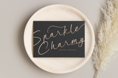 Garden Silent - Elegant Script Font Product Image 13