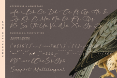 Garden Silent - Elegant Script Font Product Image 18