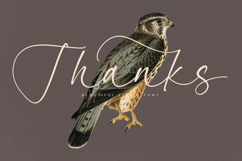 Garden Silent - Elegant Script Font Product Image 20