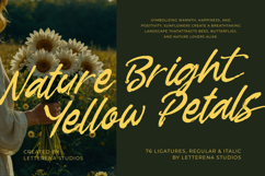 Garden Solland Bold Handwritten Font Product Image 5