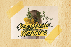 Garden Solland Bold Handwritten Font Product Image 8
