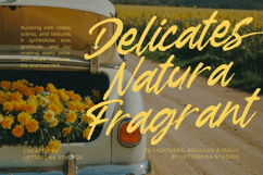 Garden Solland Bold Handwritten Font Product Image 11