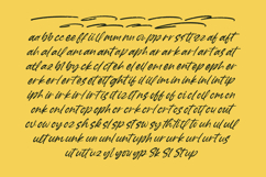Garden Solland Bold Handwritten Font Product Image 14