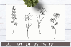 Garden SVG Floral Line art designs