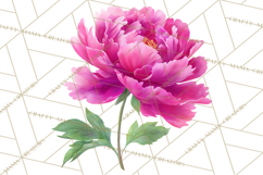 Whimsical Flowers &amp; Plants Clip Art PNG, Garden Floral Png Product Image 4