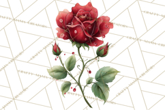 Whimsical Flowers &amp; Plants Clip Art PNG, Garden Floral Png Product Image 3