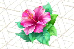 Whimsical Flowers &amp; Plants Clip Art PNG, Garden Floral Png Product Image 2