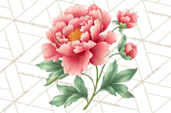 Whimsical Flowers &amp; Plants Clip Art PNG, Garden Floral Png Product Image 5