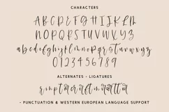 Garmisch Script - Free Font Of The Week Product Image 5