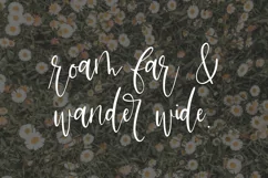 Garmisch Script - Free Font Of The Week Product Image 9
