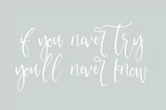 Garmisch Script - Free Font Of The Week Product Image 4