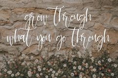 Garmisch Script Product Image 7