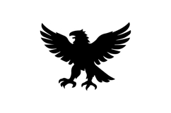 Garuda Majestic Front Pose Design Vector Product Image 1