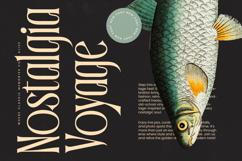 Garugis - Modern Display Serif Font Product Image 7