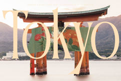 Garugis - Modern Display Serif Font Product Image 9