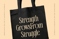 Garugis - Modern Display Serif Font Product Image 11