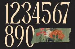 Garugis - Modern Display Serif Font Product Image 12