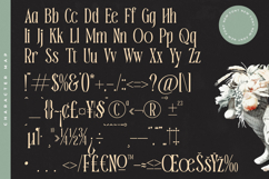 Garugis - Modern Display Serif Font Product Image 18