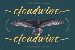 Gaslight Skyline - Modern Brush Font Product Image 9
