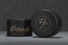 Gaslight Skyline - Modern Brush Font Product Image 17