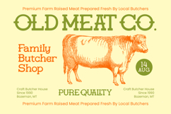 Gatius Rodeo - Vintage Slab Serif Font Product Image 11