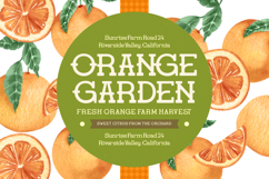 Gatius Rodeo - Vintage Slab Serif Font Product Image 13