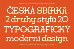 Gatius Rodeo - Vintage Slab Serif Font Product Image 19