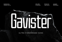 Gavister Product Image 1