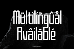 Gavister Product Image 10