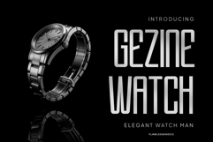 Gavister Product Image 2