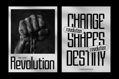 Gavister Product Image 3