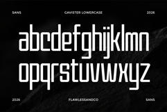 Gavister Product Image 8