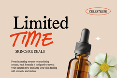 Gayalie Swimwear - Serif and Script Font Duo Typeface Product Image 4