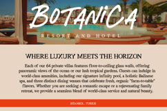 Gayalie Swimwear - Serif and Script Font Duo Typeface Product Image 6