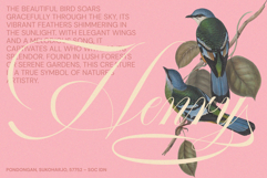 GEFUHATPIN - Elegant Script Calligraphy Font Product Image 10