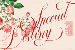 GEFUHATPIN - Elegant Script Calligraphy Font Product Image 11