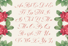 GEFUHATPIN - Elegant Script Calligraphy Font Product Image 14