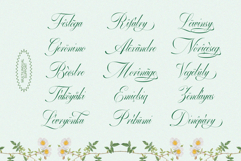 GEFUHATPIN - Elegant Script Calligraphy Font Product Image 16