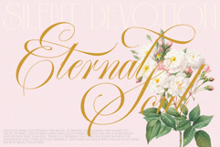 GEFUHATPIN - Elegant Script Calligraphy Font Product Image 17