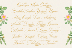 GEFUHATPIN - Elegant Script Calligraphy Font Product Image 18