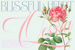 GEFUHATPIN - Elegant Script Calligraphy Font Product Image 19