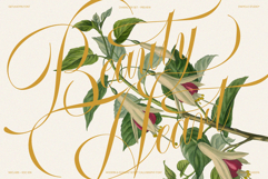 GEFUHATPIN - Elegant Script Calligraphy Font Product Image 4