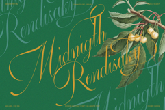 GEFUHATPIN - Elegant Script Calligraphy Font Product Image 8