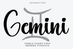 Gemini Product Image 1