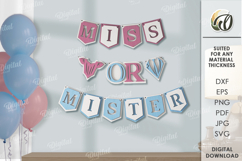 Gender Party Banners Bundle Laser cut. Wall decor SVG Product Image 12